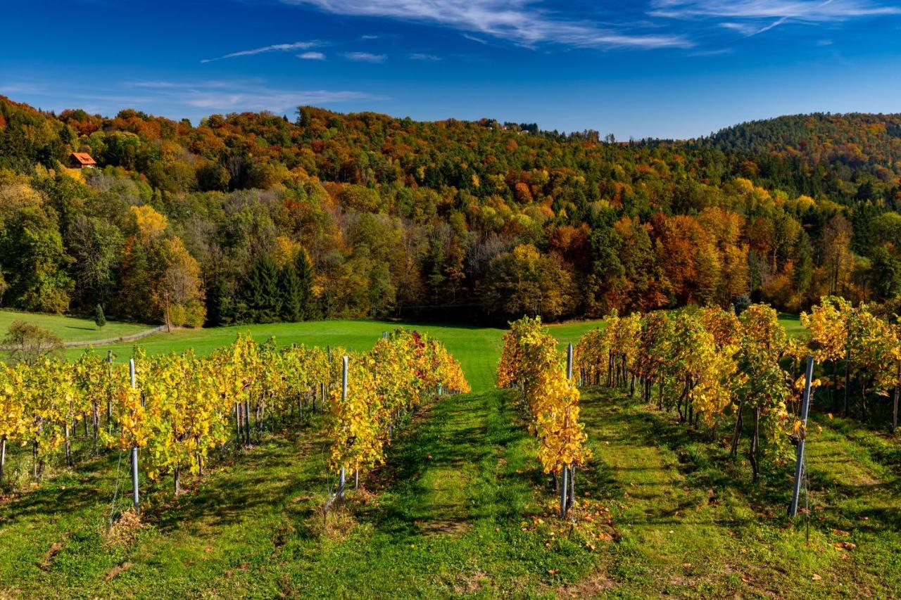 Hoefer Der Genusstreffpunkt Am Waldgrund Fasslberg ภายนอก รูปภาพ
